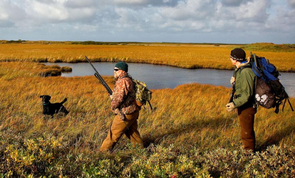 сроки открытия осенней охоты в нижегородской области