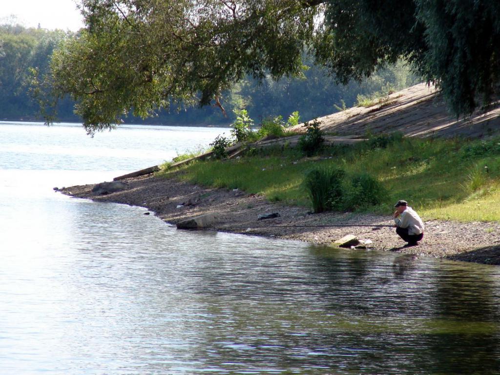 Летняя рыбалка на Лубенском.