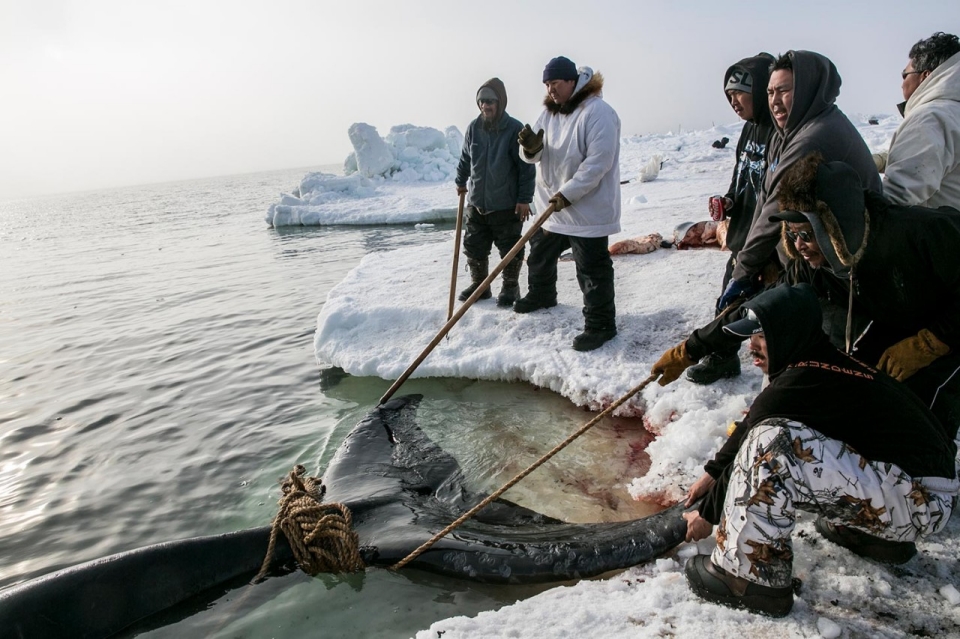 Аляска. Охота на кита