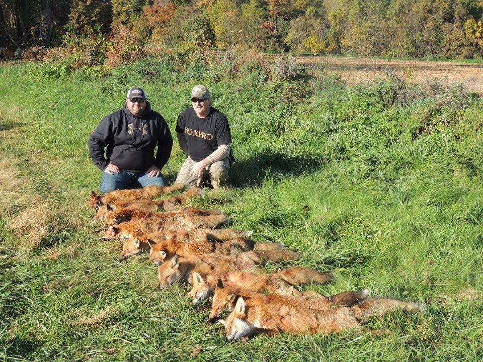 Охотники на лис.