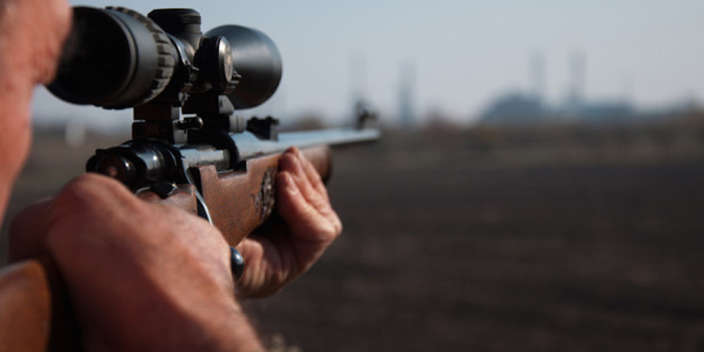 Как выбрать ружье для охоты: руководство для новичков