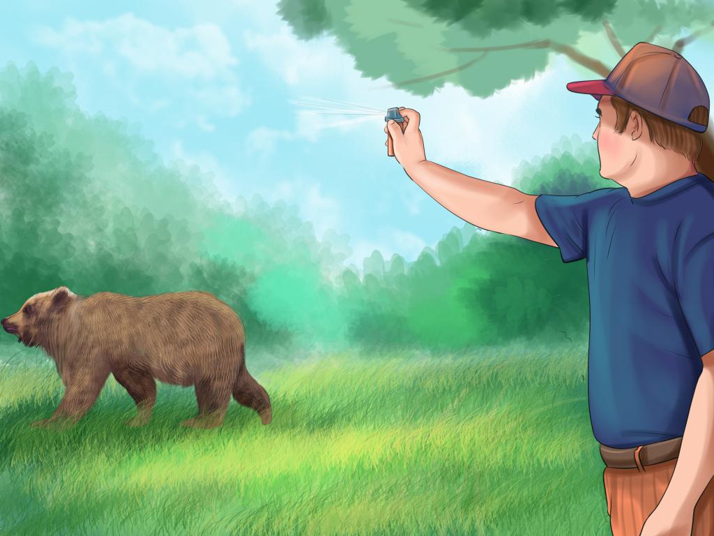 Встреча с медведем в лесу что делать?