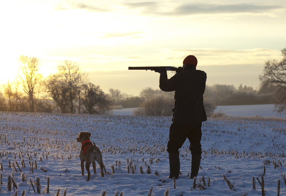 Охотник с собакой зимой