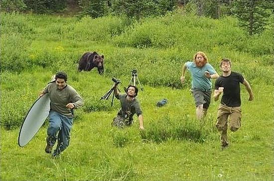 медведь бежит за людьми