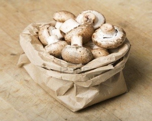 Как сохранить свежие грибы на сутки