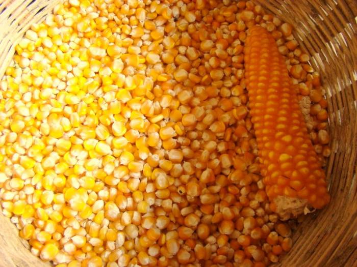 петля на кабана своими руками