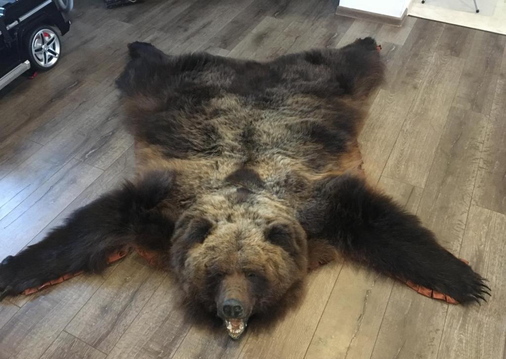 коричневая шкура медведя